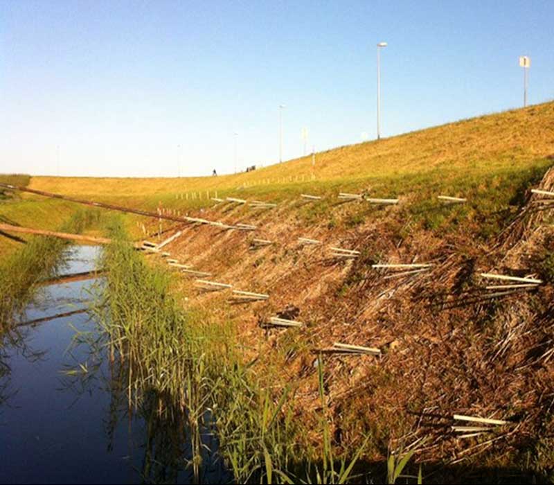 River Embankment Consolidamento Arigini Vianen Olanda Sireg Progetti Nel Mondo