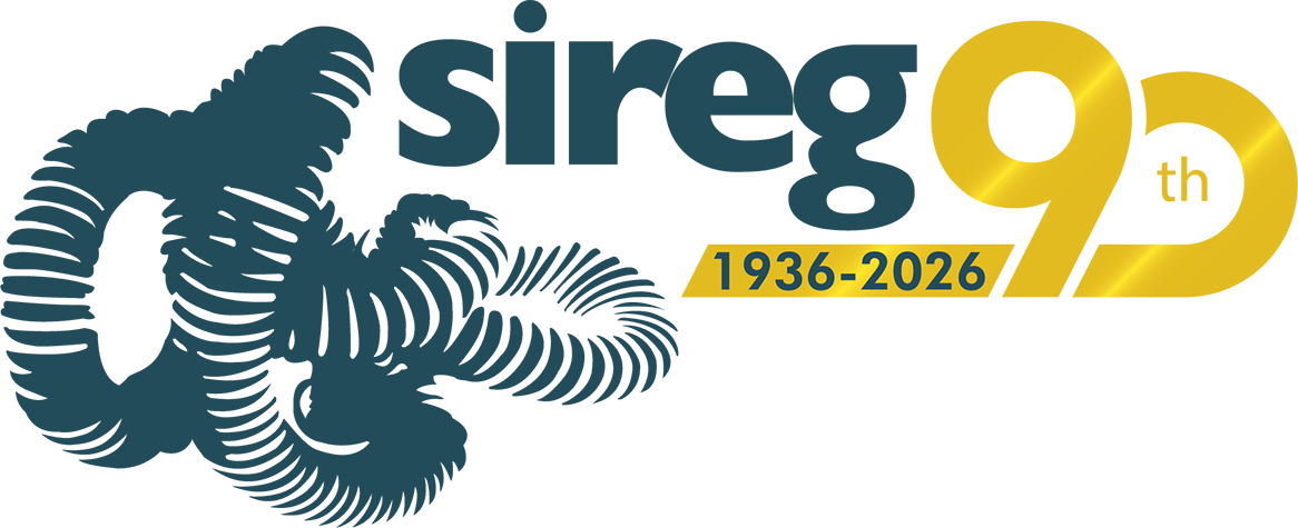 Logo Sireg Geotech Anniversario 90 1936-2026